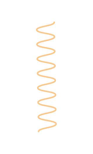 Curve